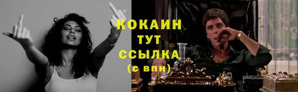 бошки Арсеньев