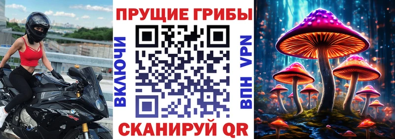 как найти закладки  Колпашево  Псилоцибиновые грибы ЛСД 